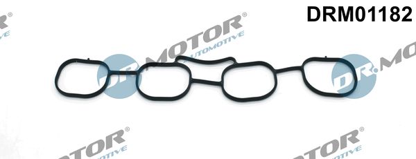 Dr.Motor Automotive Brtva, kućište usisne grane