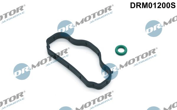 Dr.Motor Automotive Komplet brtvi, poklopac glave cilindra