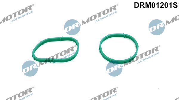 Dr.Motor Automotive Brtva, nastavak prigušne zaklopke