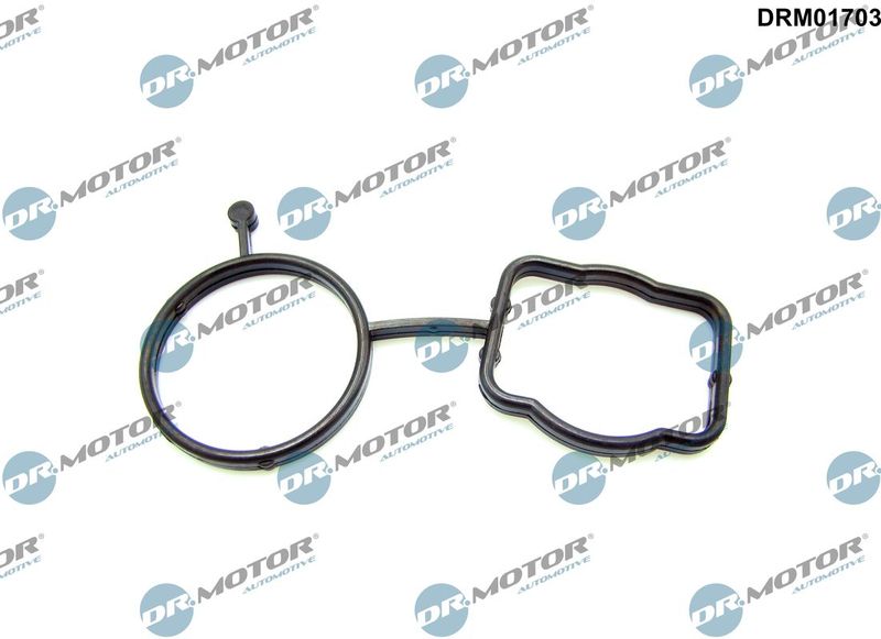 Dr.Motor Automotive Brtva, kućište termostata