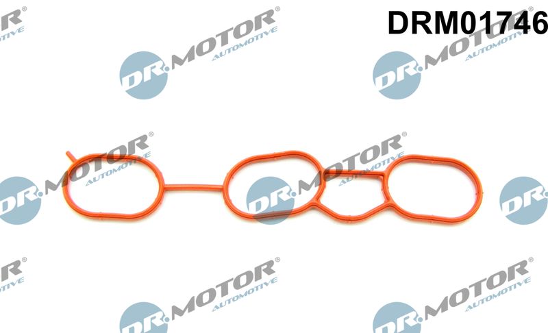 Dr.Motor Automotive Brtva, usisna grana