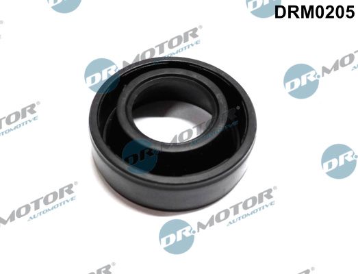 DR MOTOR Komplet brtvi, poklopac cilindarske glave