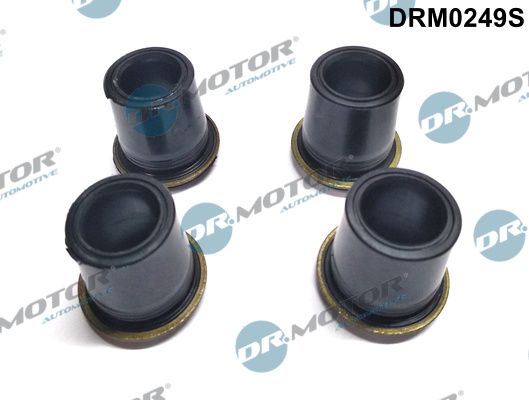 DR MOTOR Komplet brtvi, brizgaljka