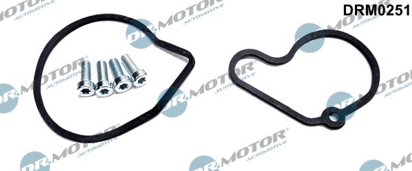 DR MOTOR Komplet za popravak, podtlačna pumpa (kočni sustav)