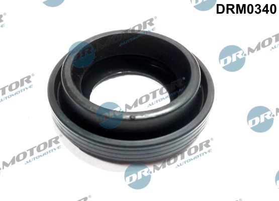 DR MOTOR Brtva, poklopac cilindarske glave