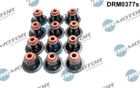 DR MOTOR Komplet brtvi, vreteno ventila