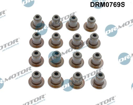 DR MOTOR Komplet brtvi, vreteno ventila