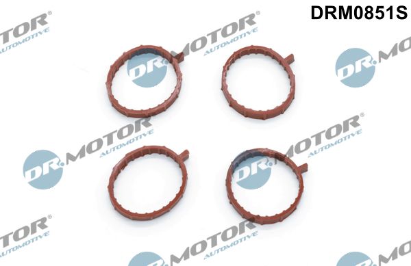 Dr.Motor Automotive Komplet brtvi, usisna koljenasta cijev