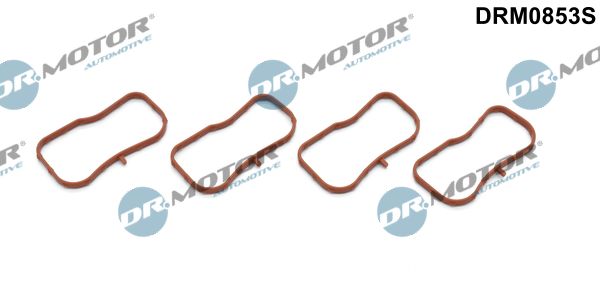 Dr.Motor Automotive Komplet brtvi, usisna koljenasta cijev