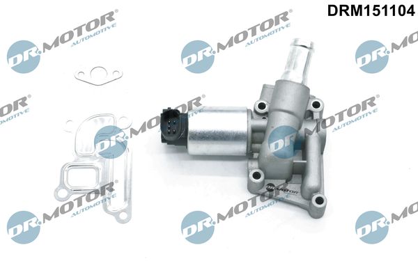 Dr.Motor Automotive EGR ventil