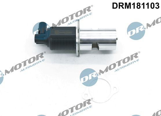 Dr.Motor Automotive Ventil sustava za recirkulaciju ispušnih plinova