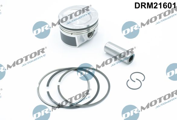Dr.Motor Automotive Klip