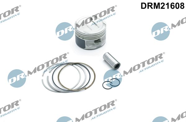Dr.Motor Automotive Klip