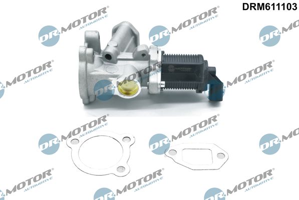 Dr.Motor Automotive AGR-ventil