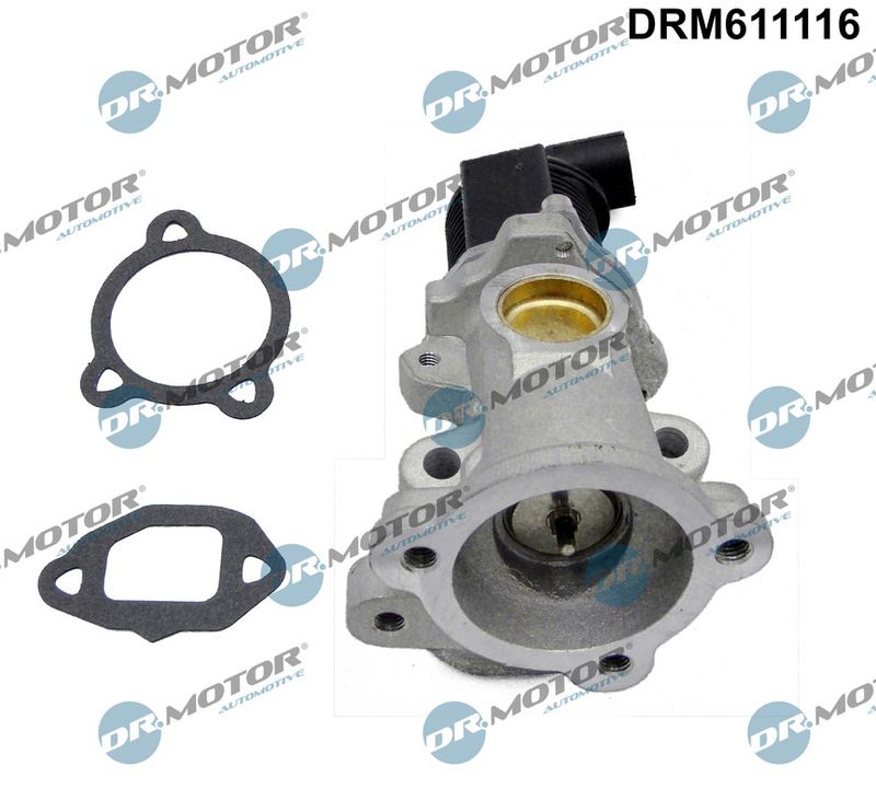 Dr.Motor Automotive EGR ventil