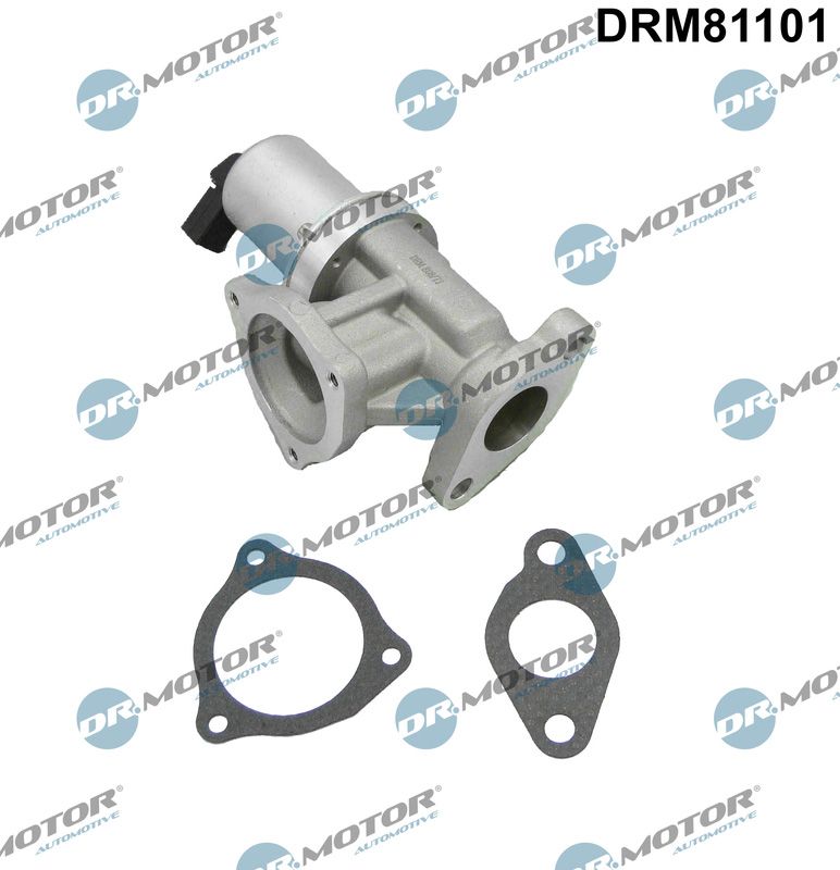 Dr.Motor Automotive EGR ventil