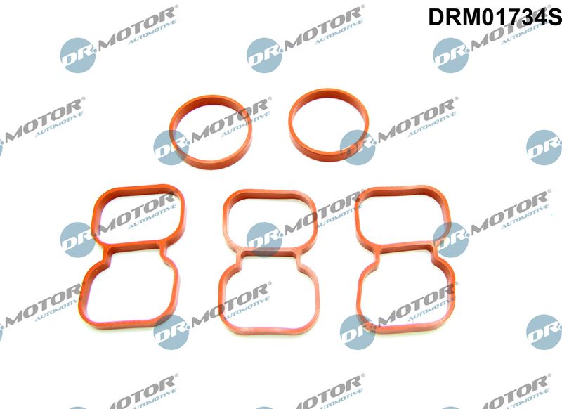 DR.MOTOR AUTOMOTIVE Brtva, glava cilindra