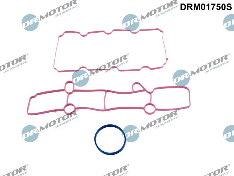 DR.MOTOR AUTOMOTIVE Komplet brtvi, usisna koljenasta cijev