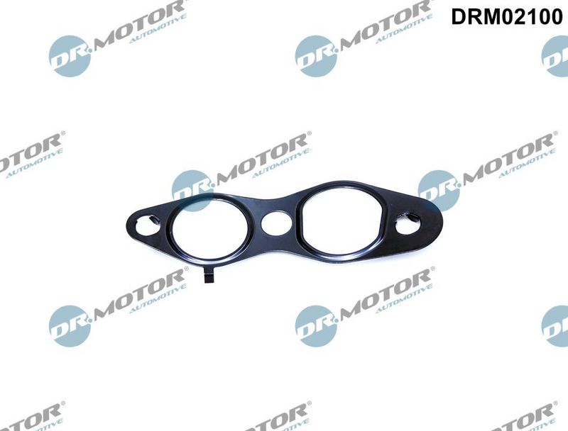 DR.MOTOR AUTOMOTIVE Brtva, ventil povratnih ispušnih plinova