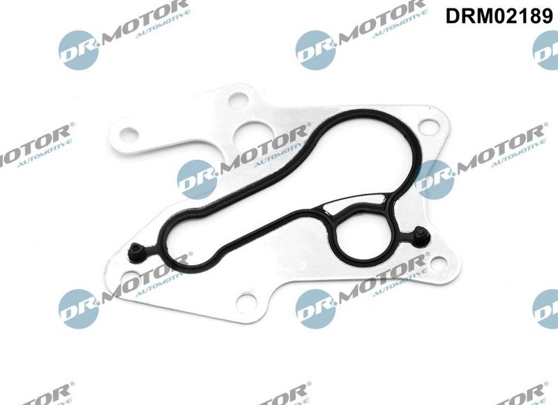 DR.MOTOR AUTOMOTIVE Brtva, hladnjak ulja