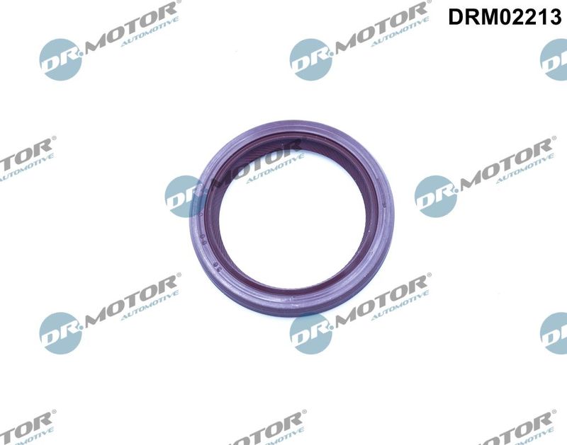 Dr.Motor Automotive Brtveni prsten vratila, bregasto vratilo