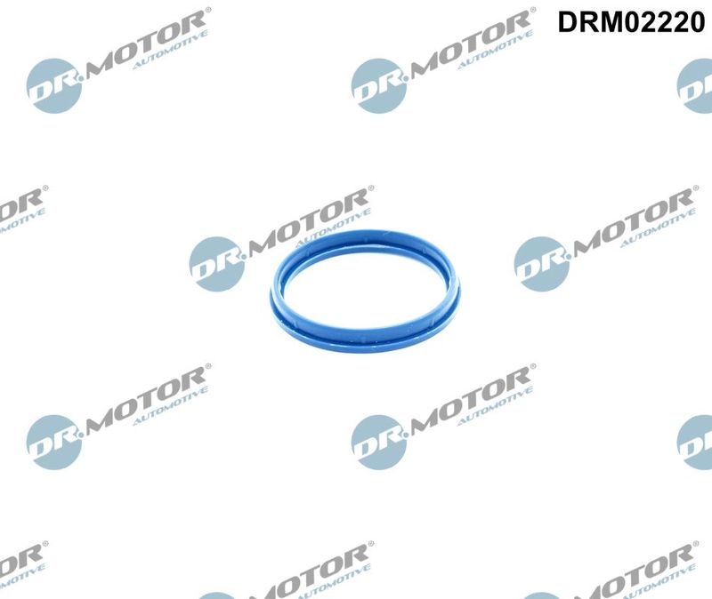 Dr.Motor Automotive Brtva, kućište usisne koljenaste cijevi