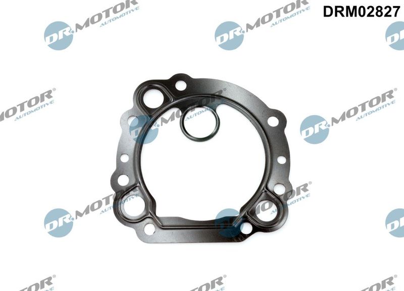 DR.MOTOR AUTOMOTIVE Brtva, ventil povratnih ispušnih plinova
