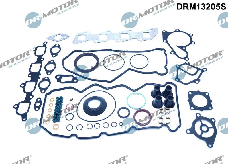 Dr.Motor Automotive Potpuni komplet brtvi, motor