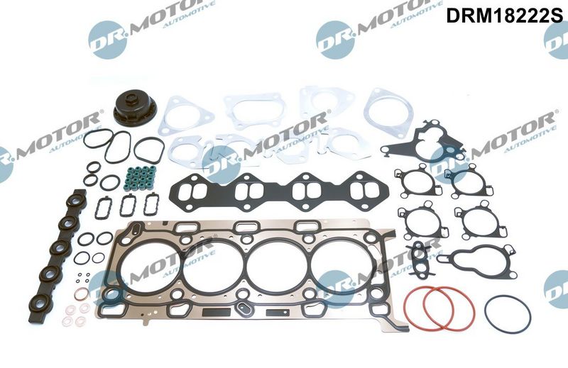 DR.MOTOR AUTOMOTIVE Potpuni komplet brtvi, motor