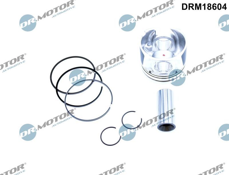 Dr.Motor Automotive Klip