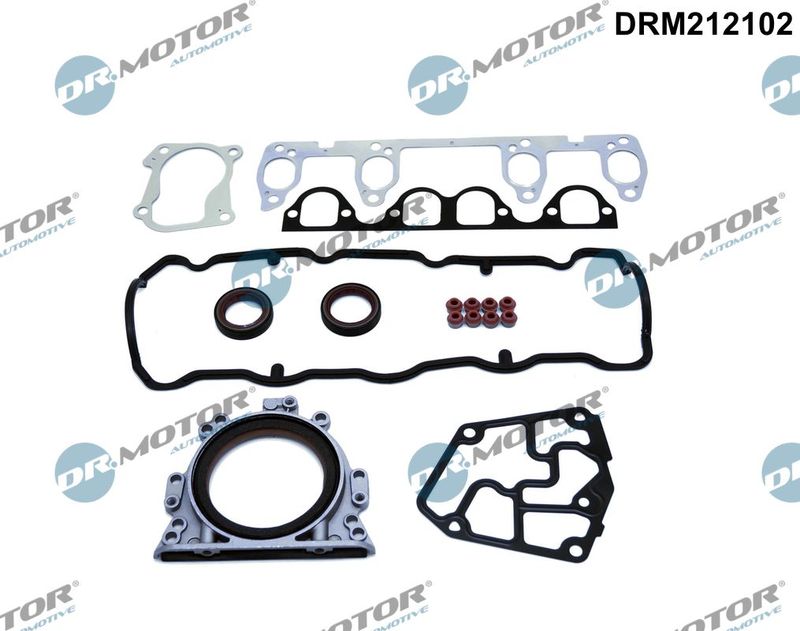 Dr.Motor Automotive Potpuni komplet brtvi, motor