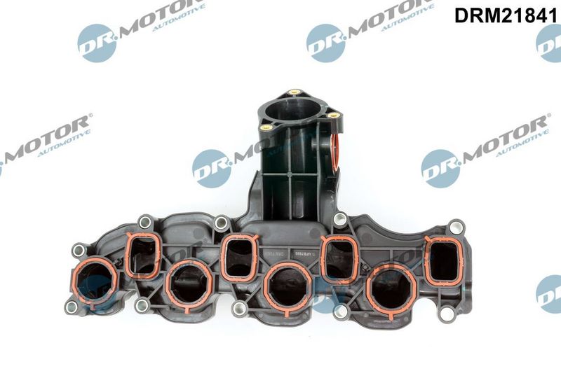 DR.MOTOR AUTOMOTIVE Modul usisne cijevi