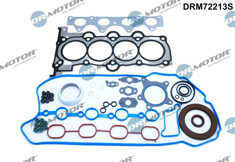 Dr.Motor Automotive Potpuni komplet brtvi, motor