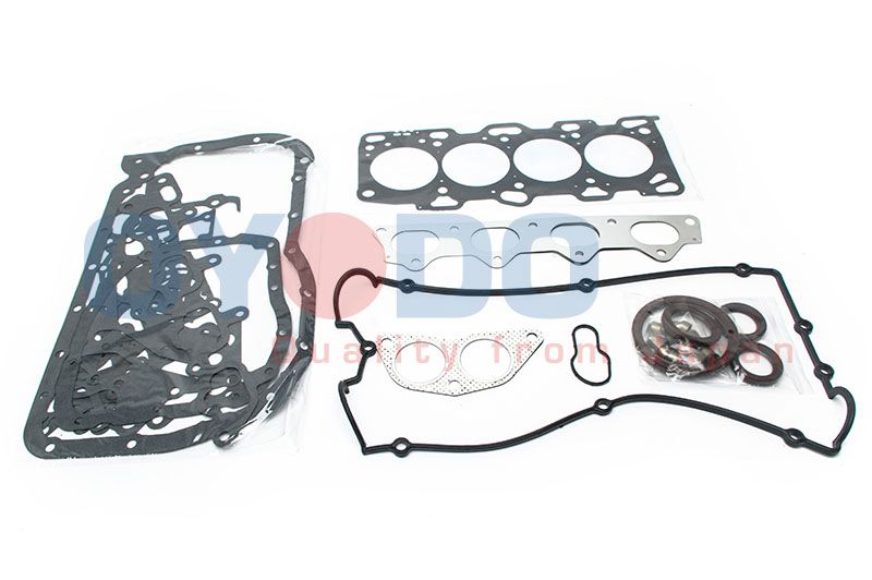 OYODO Potpuni komplet brtvi, motor