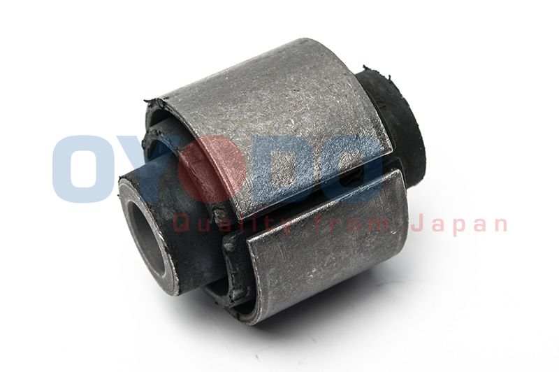 OYODO Uležištenje, upravljač