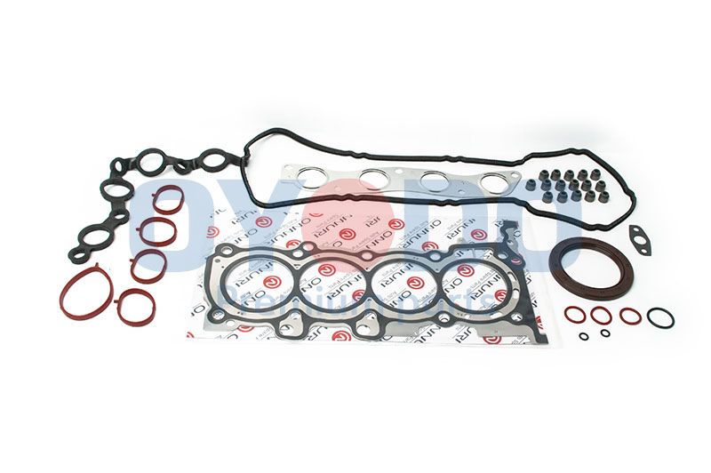 OYODO Potpuni komplet brtvi, motor