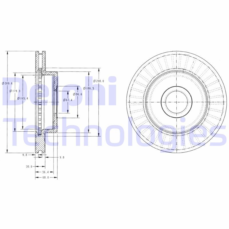 DELPHI Kočioni disk