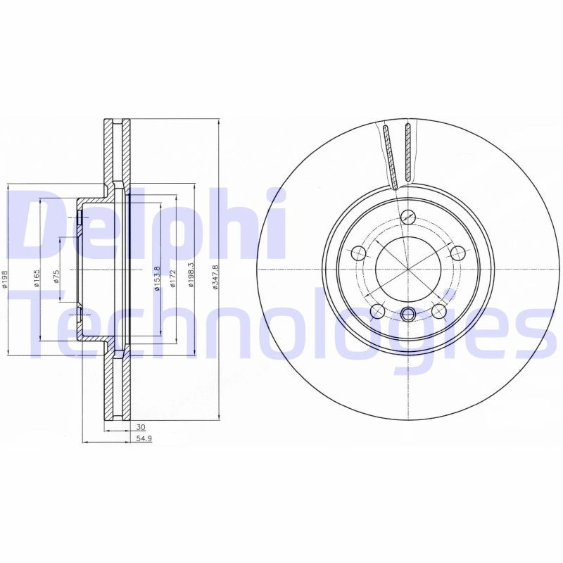 DELPHI Kočioni disk