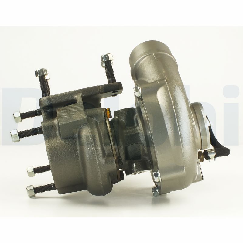 DELPHI Kočiono crijevo