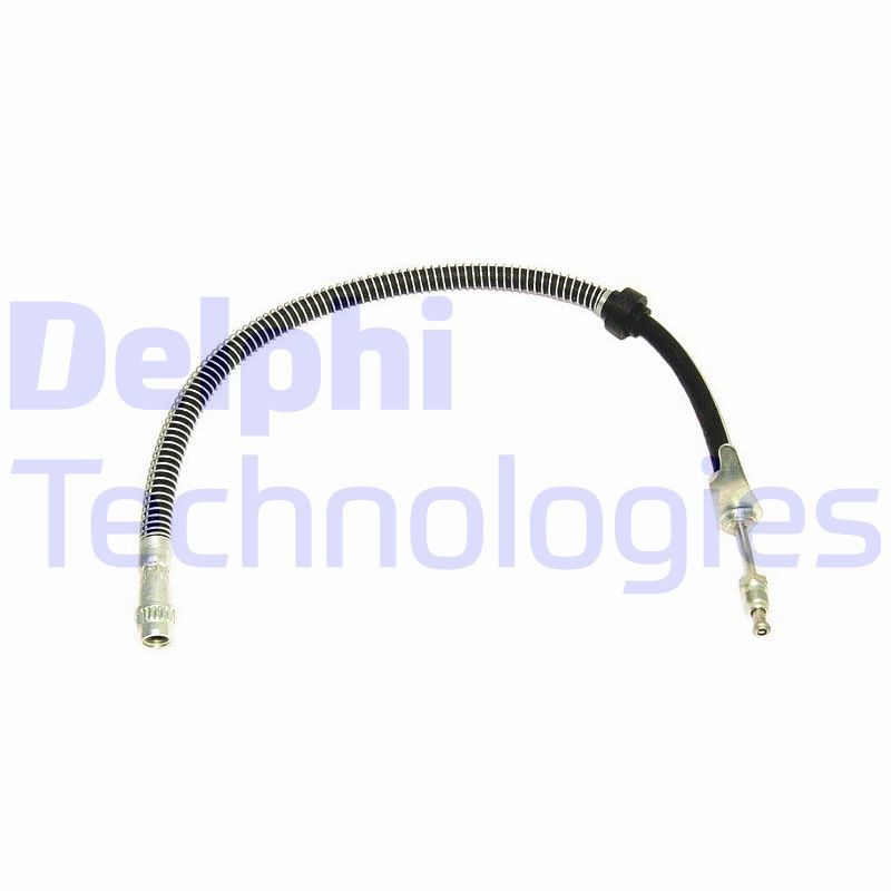 DELPHI Kočiono crijevo