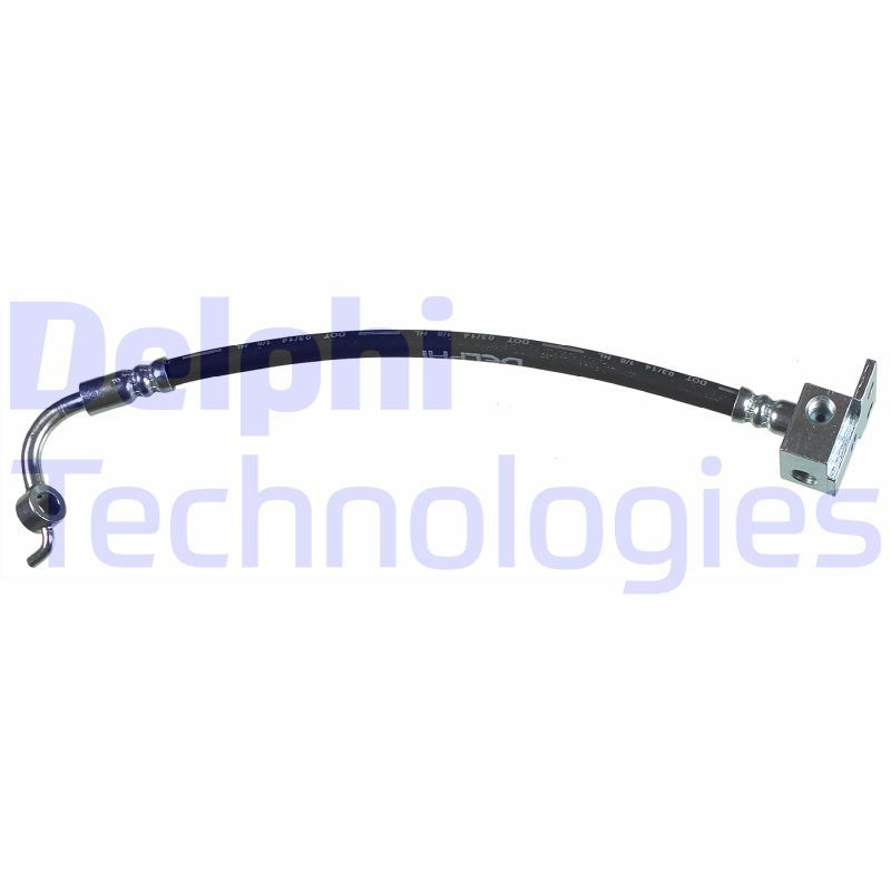 DELPHI Kočiono crijevo