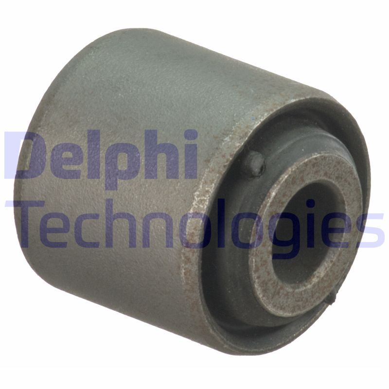 DELPHI Uležištenje, spona