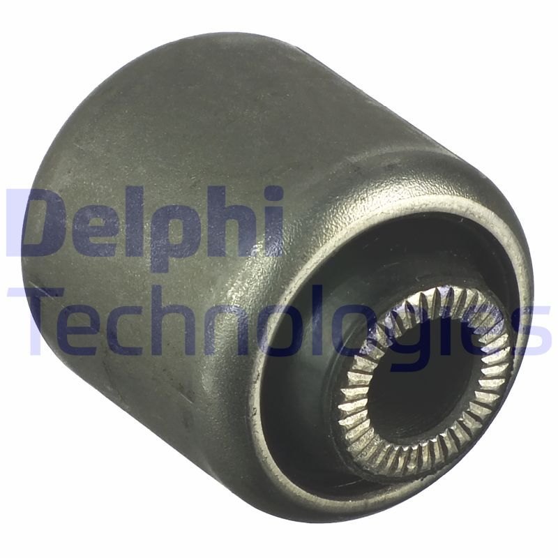 DELPHI Uležištenje, spona