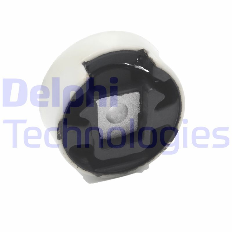 DELPHI Uležištenje, motor