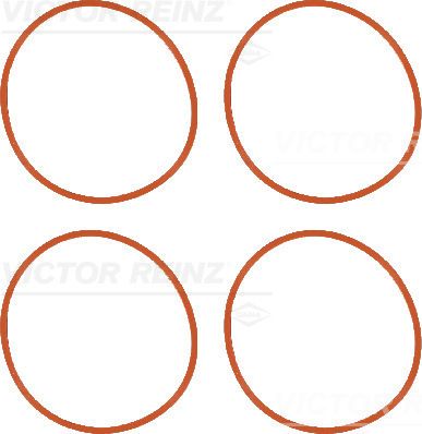 REINZ Komplet brtvi, usisna grana