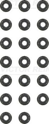 REINZ Komplet brtvi, vreteno ventila