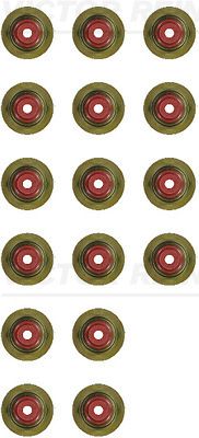 REINZ Komplet brtvi, tijelo ventila