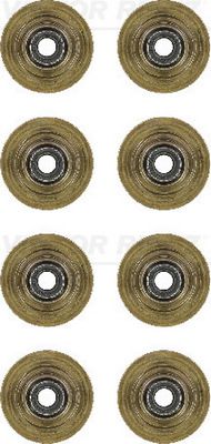 REINZ Komplet brtvi, vreteno ventila