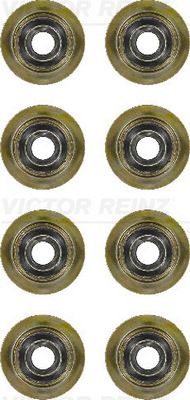 REINZ Komplet brtvi, vreteno ventila