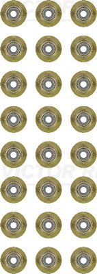 REINZ Komplet brtvi, vreteno ventila